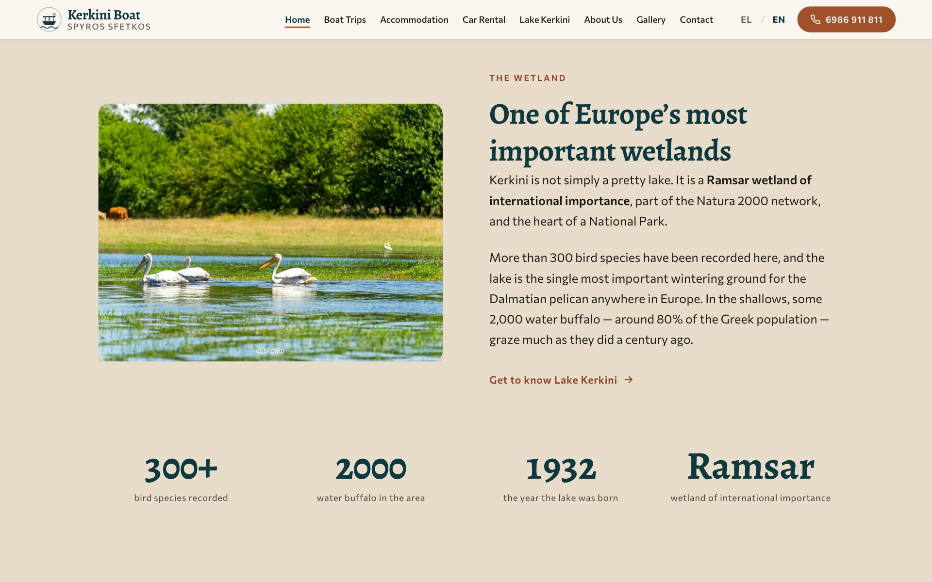 沙色背景上的“One of Europe's most important wetlands”板块:一张照片中,三只白色鹈鹕在草地和树林前的浅水里游动;旁边两段文字介绍这片拉姆萨尔湿地及其鸟类和水牛,并附有通往湖泊指南的链接;下方是四个大号数字:已记录的 300 多种鸟类、当地 2000 头水牛、湖泊诞生的 1932 年,以及 Ramsar——国际重要湿地。