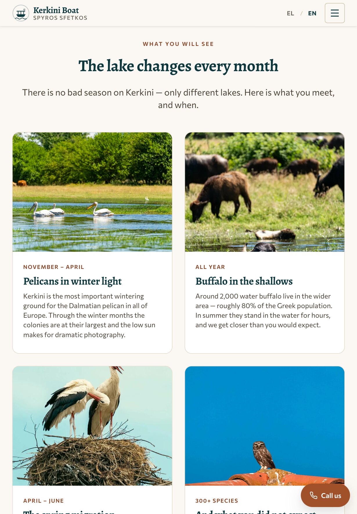 平板上的“The lake changes every month”板块:一段介绍和两列季节卡片——“November – April, Pelicans in winter light”配有鹈鹕在浅水中的照片,“All year, Buffalo in the shallows”配有水牛吃草的照片——下方露出另外两张卡片的上半部分:巢上的一对白鹳,以及蓝天下瓦顶上的一只小鸮。